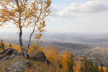 Similar image 933631