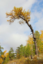 Similar image 933632