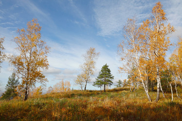 Similar image 933633