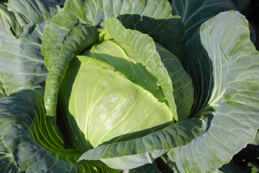 Similar image 933635