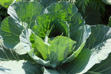 Similar image 933636