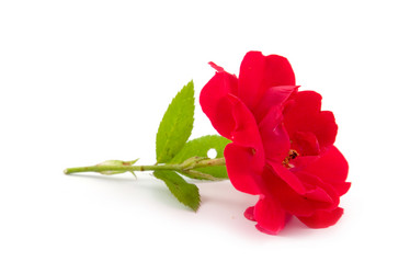 Similar image 933806