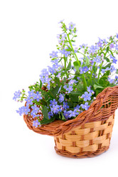 Similar image 933809