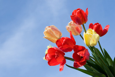 Similar image 933811