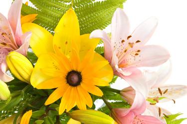 Similar image 933813