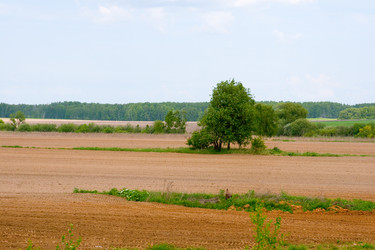 Similar image 933883