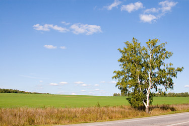 Similar image 933888