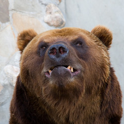 Similar image 933919