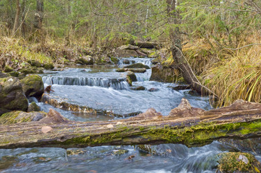 Similar image 933923