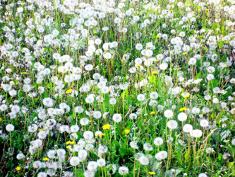 Similar image 933925