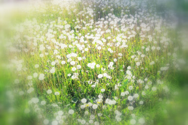 Similar image 933926