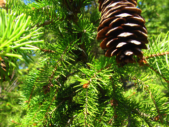 Similar image 933956