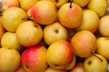 Similar image 934019