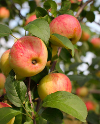 Similar image 934106