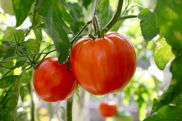 Similar image 934109