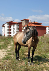 Similar image 934456