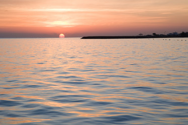 Similar image 934542