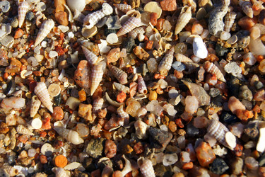 Similar image 934576