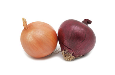 Similar image 934737