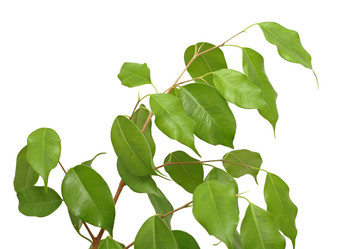 Similar image 934759