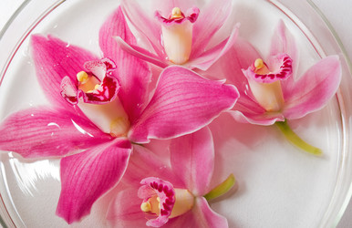 Similar image 935005