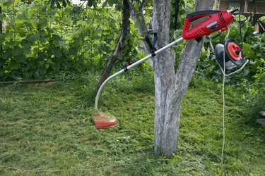 Similar image 935081