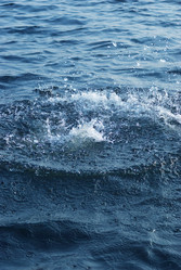 Similar image 935342