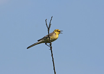 Similar image 935467