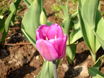 Similar image 935486