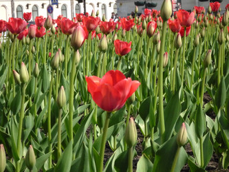 Similar image 935493