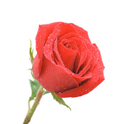 Similar image 935510