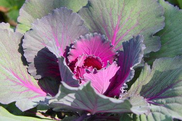 Similar image 935516