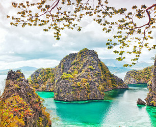 Similar image 935520