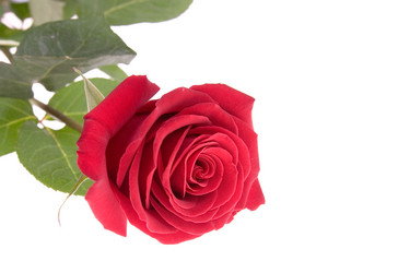 Similar image 935567