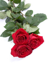 Similar image 935581