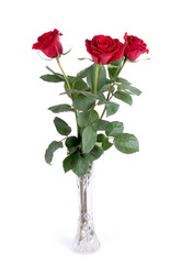 Similar image 935595