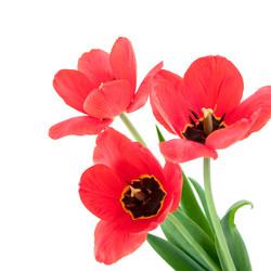 Similar image 935602