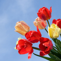 Similar image 935606