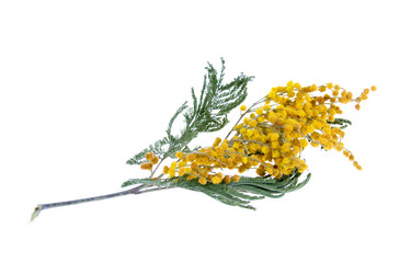 Similar image 935625