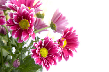 Similar image 935629