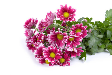 Similar image 935631