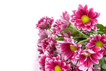 Similar image 935635