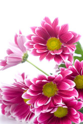 Similar image 935637