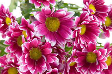 Similar image 935638