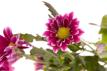 Similar image 935642