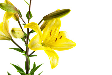 Similar image 935652