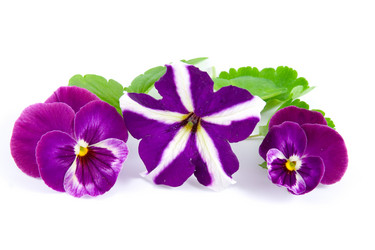 Similar image 935660