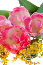 Similar image 935679