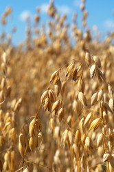 Similar image 935726