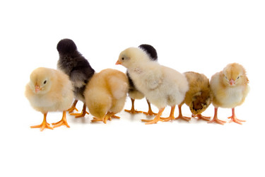 Similar image 935760